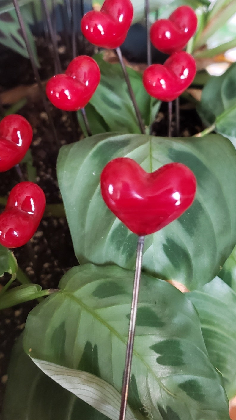 Valentine's Day Heart, Red Puffy Heart Garden Art Sun Catcher Plant Stake Lampwork Glass Puffy Heart image 5