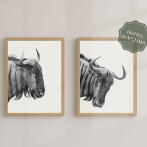 Set of 2 Prints - Safari Wall Art - Wildebeest Print - Nature Photography - African Animal Art - Home Decor - Digital Download