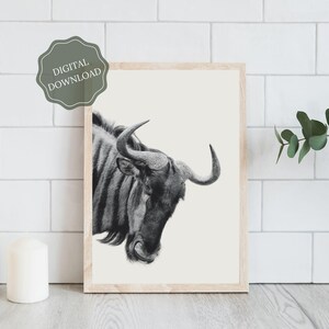 Safari Print -  Wildlife Photography - African Animals - Wall Art - Living Room Decor - Instant Download