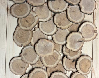 3.75”-4.5” Red Oak Wood Slices. Heat-Dried DIY Craft Rounds