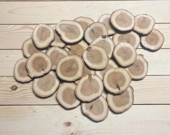 3”–3.5” Red Oak Wood Slices. Heat-Dried DIY Craft Rounds