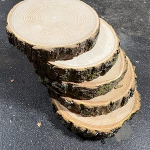 Wood Tree Slices for Crafts, Coasters, Wedding Decor – 2.5”–3.25” – Rustic Bark Rounds, Sanded or Unsanded