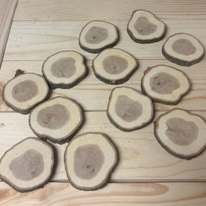 May include: A collection of twelve natural wood coasters, each cut from a tree branch. The coasters have a light brown center with darker brown edges, showcasing the tree's growth rings. They are arranged on a light wooden surface.