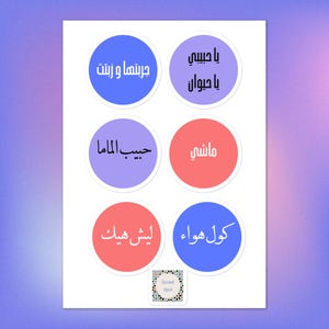 Funny Arabic Stickers – Colloquial Expressions | Vinyl Sticker Sheet for Laptop, Journal, Water Bottle, Scrapbooking