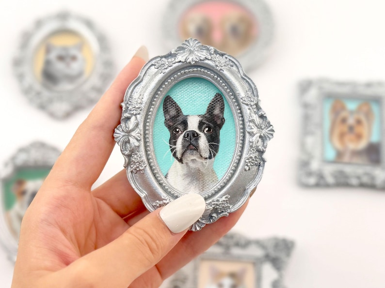 Może przedstawiać: Owalna, srebrna ramka z portretem psa rasy Boston Terrier. Pies ma czarno-białe oznaczenia na jasnoniebieskim tle. W tle widoczne są inne oprawione portrety zwierząt.