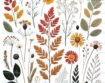 Vintage Wildflower PNG Clipart Bundle, Botanical Floral Illustration PNG, Vintage Boho Flowers Digital Download for Sublimation & POD Use