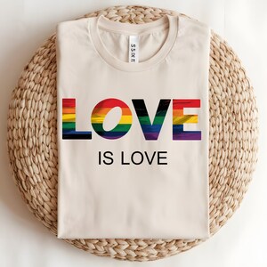 Love is Love PNG, LGBTQ+ Pride Rainbow Quote, Gay Rights Graphic, Equality Sublimation Design, Colorful Printable Shirt Clipart File