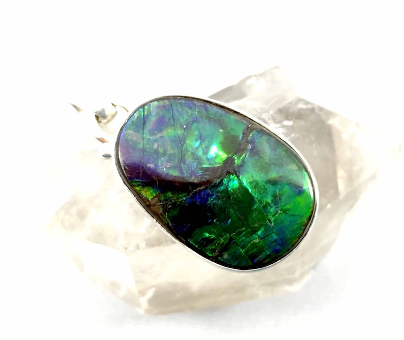 Ammolite Pendant