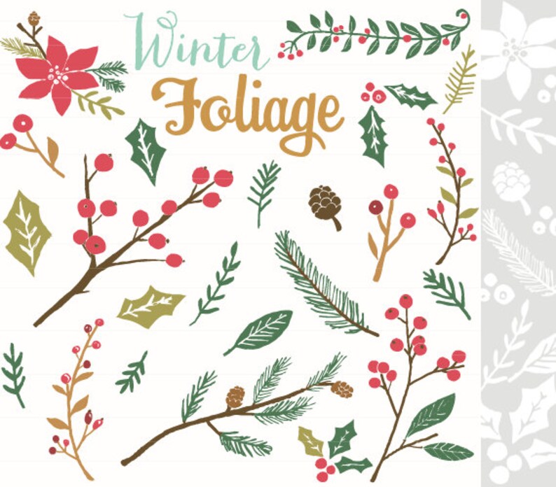 CLIP ART and Photoshop Brushes Winter Foliage for commercial and personal use image 1