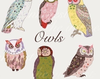 CLIP ART - Owls - for commercial and personal use