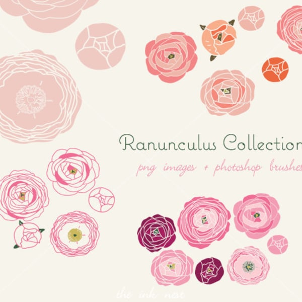 CLIP ART and Photoshop brushes - Ranunculus Collection - for commercial and personal use