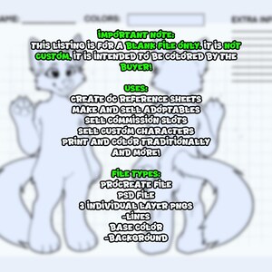 Chibi Wolf Reference Sheet Base | DIY Furry Coloring Page - Etsy