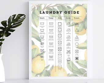 May include: A framed laundry guide with a white border. The guide features laundry symbols and instructions, with the title "LAUNDRY GUIDE" at the top. The background has a watercolor design of lemons and leaves. A white vase with a plant is on the left.