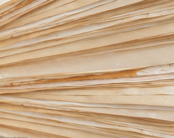 May include: A stack of numerous rectangular sheets of paper, each featuring a distinct coffee-stained, aged appearance with varying shades of tan, beige, and brown. The edges are uneven and textured. The text SAIDONIA Studio is printed in black.
