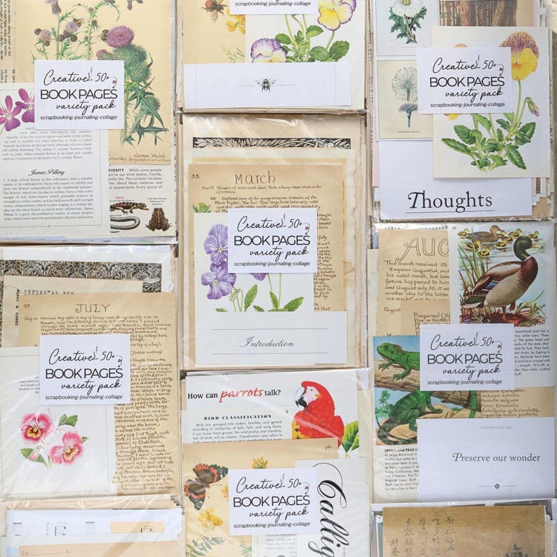 Over 50 Book Pages ⋆ Discovery Creativity Paper Pack + Extras - Etsy