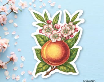 May include: A sticker featuring a detailed illustration of a ripe peach with green leaves, delicate white and pink blossoms, and the text "SAIDONIA Studios!" on a light blue background. The sticker has a white border.