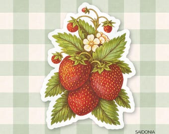 May include: A sticker featuring a detailed illustration of ripe strawberries with green leaves and white flowers. The strawberries are a vibrant red with textured details. The sticker is on a green and white checkered background. The text "SAIDONIA Studios!" is in the bottom right corner.