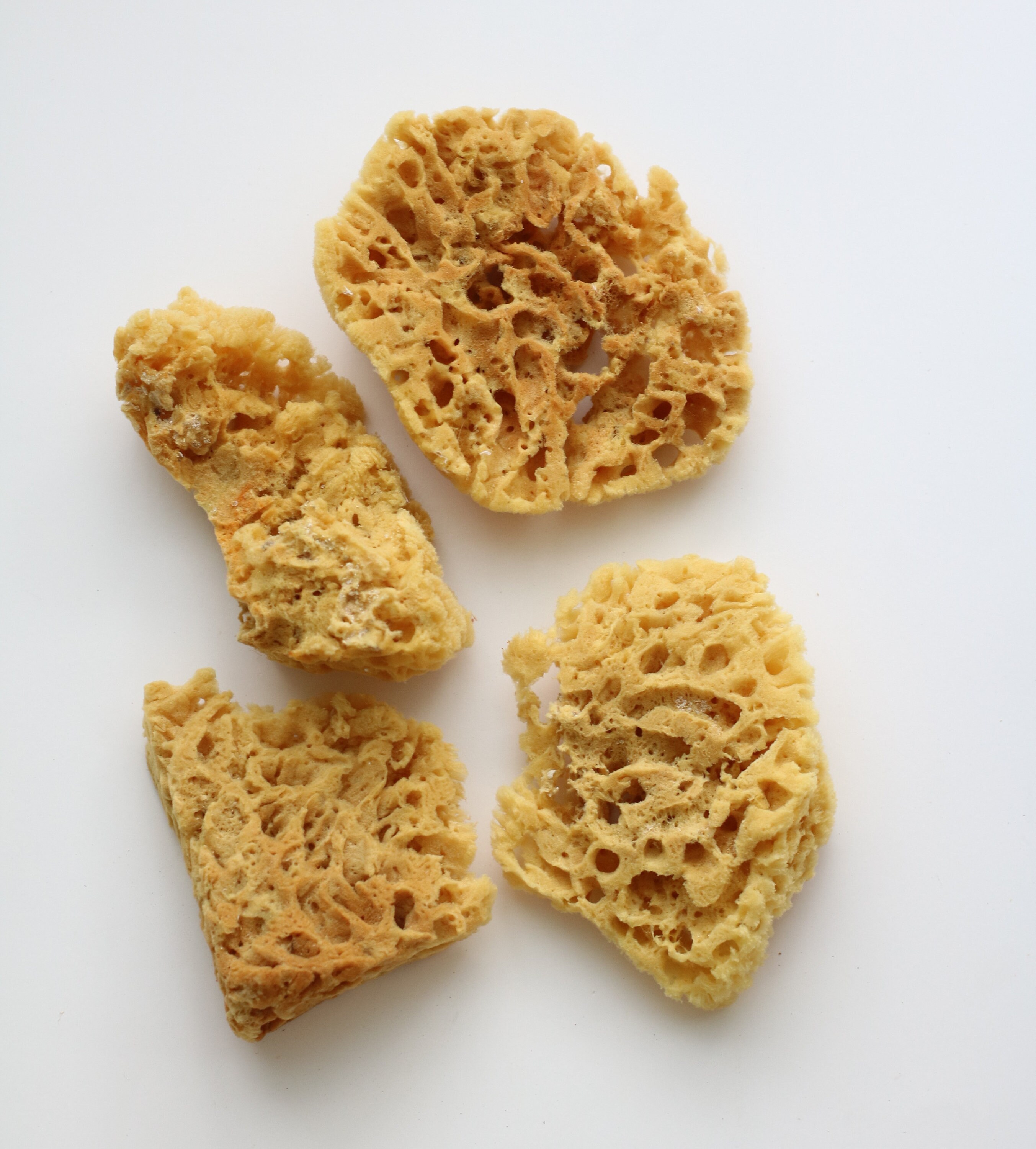 Sea Sponges EXTRA Large 17-18cm brown = Unbleached honeycomb GREEK