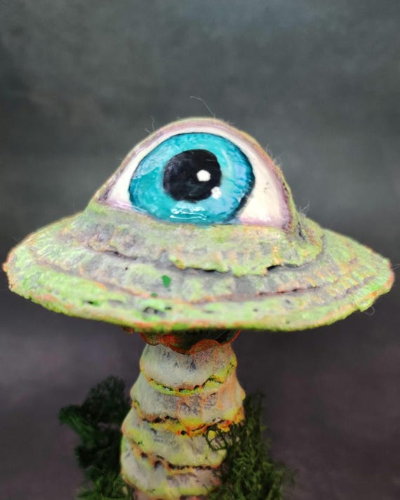 A one-eyed mushroom with an actual eyeball — the intersection of mycology and body horror that belongs on every weird shelf.