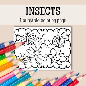 Insect Coloring Page, Insect Coloring Pages, Insect Coloring, Insect Coloring Book, Bug Coloring Page, Bug Coloring Pages, Bug Coloring Book