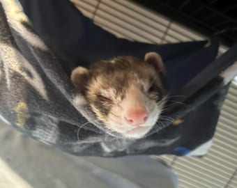 Hamaca de forro polar para hurones, cama jaula para ratas, accesorios para mascotas pequeñas, lavable a máquina