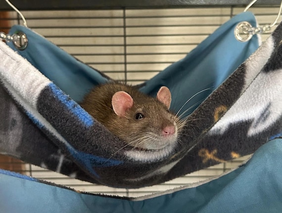 Cozy Fleece Rat Hammock: Cage Accessories, Machine Washable Pet Bed
