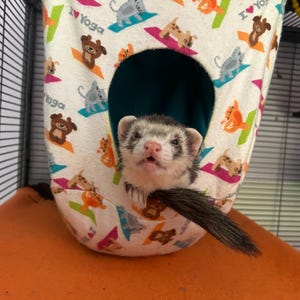 May include: A ferret with brown, black, and white fur peeking out from a hanging fabric hammock. The hammock is white with a colorful pattern of cartoon animals and the text I Yoga. The ferret has a dark mask around its eyes and a pink nose.