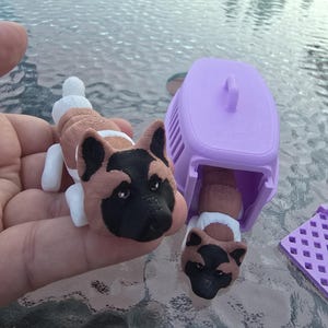 May include: A 3D-printed Akita dog figurine with a black and brown head, white paws, and a brown body. A matching dog is partially inside a purple pet carrier. A purple grate is also visible.