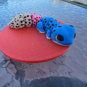 3d colorful geckos, cute geckos