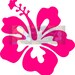 Hibiscus Flower Svg Dxf Png Pdf Zip File Commercial Use SVG Digital File car decal tshirt home decor summer flower beach decor