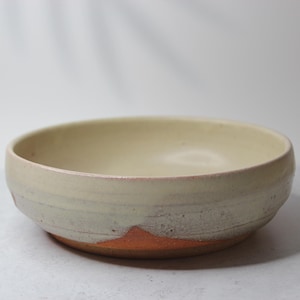 Ciotola Shigaraki Ware fatta a mano: stoviglie rustiche in ceramica giapponese