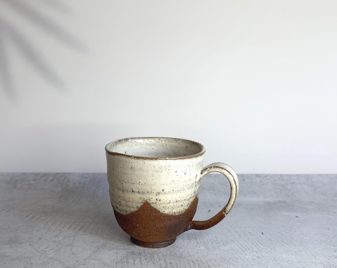 Handmade Shigaraki Ware Mug: Japanese Rustic Ceramic Cup (9.5cm, 350ml)