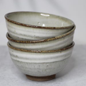 Handmade Shigaraki Ware Rice Bowl: Japanese Wabi Sabi Pottery, Hagi Iron Painting