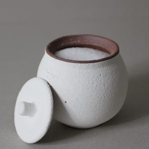 Olla de sal de cerámica Shigaraki hecha a mano: tarro de cocina japonés rústico