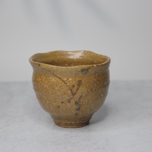 Handmade Shigaraki Ware Yunomi: Rustic Japanese Tea Cup (240ml, Made in Japan)