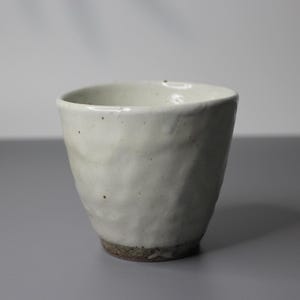 Handmade Shigaraki Kohiki Tea Cup: Japanese Pottery, 250ml