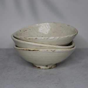 Handmade Shigaraki Ware Bowl: Ishime-Kohiki Glazed Japanese Pottery