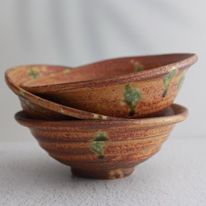 Shigaraki Ware Matcha Chawan : bol à thé en poterie japonaise fait main
