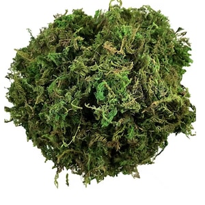 30g Artificial Green Moss – Decorative Faux Moss for Potted Plants, Orchid Mix, Crafts & Moss Poles