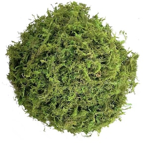30g Chartreuse Artificial Green Moss – Faux Decorative Moss for Potted Plants, Orchid Mix & Crafts