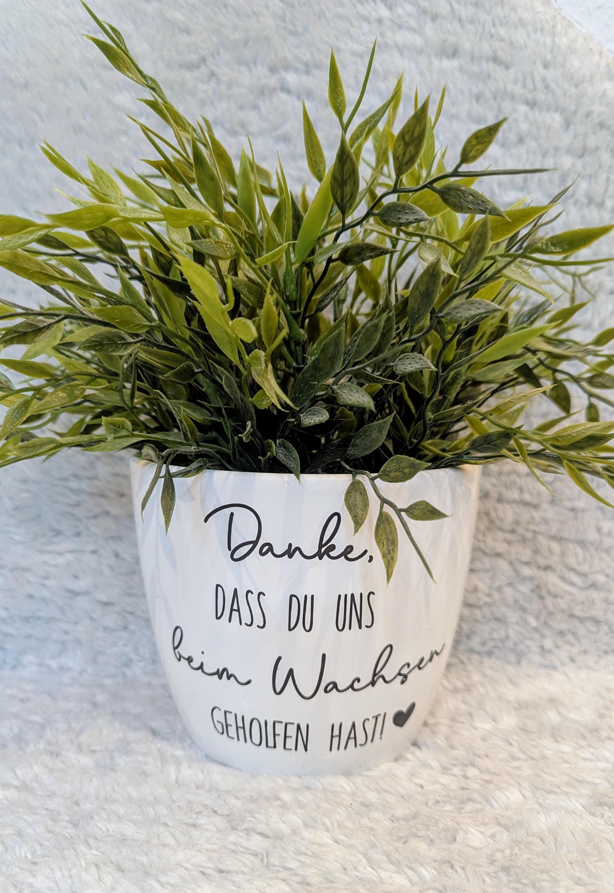 BOFUNX 3 Blumentöpfe Mit Aufklebern – Set Für Pflanzen, Deko Oder DIY-Projekte