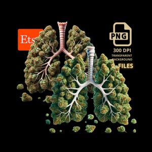Puede incluir: Ilustración de pulmones formados por cogollos de cannabis verdes y marrones, con bronquios y tráquea blancos, sobre un fondo negro. La imagen incluye el logotipo de Etsy y texto que indica un archivo PNG con fondo transparente.