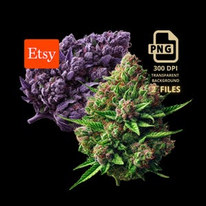 Puede incluir: Imagen digital con dos cogollos de cannabis, uno morado y otro verde, sobre un fondo negro. La imagen incluye el logotipo de Etsy y texto que indica formato PNG, 300 DPI, fondo transparente y 2 archivos.