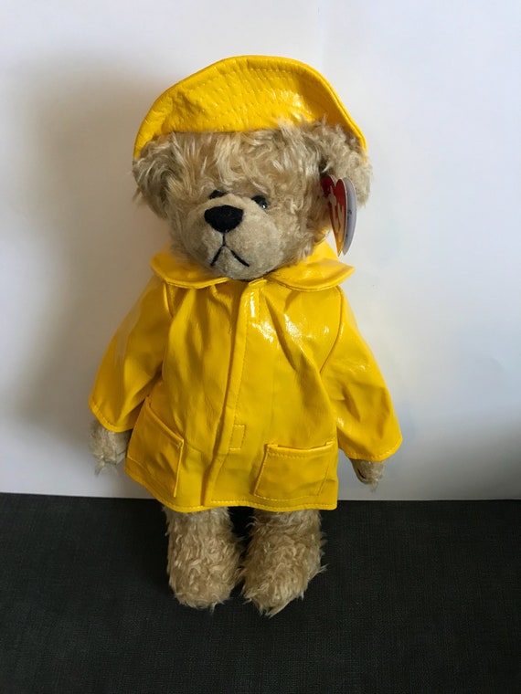 teddy bear in raincoat