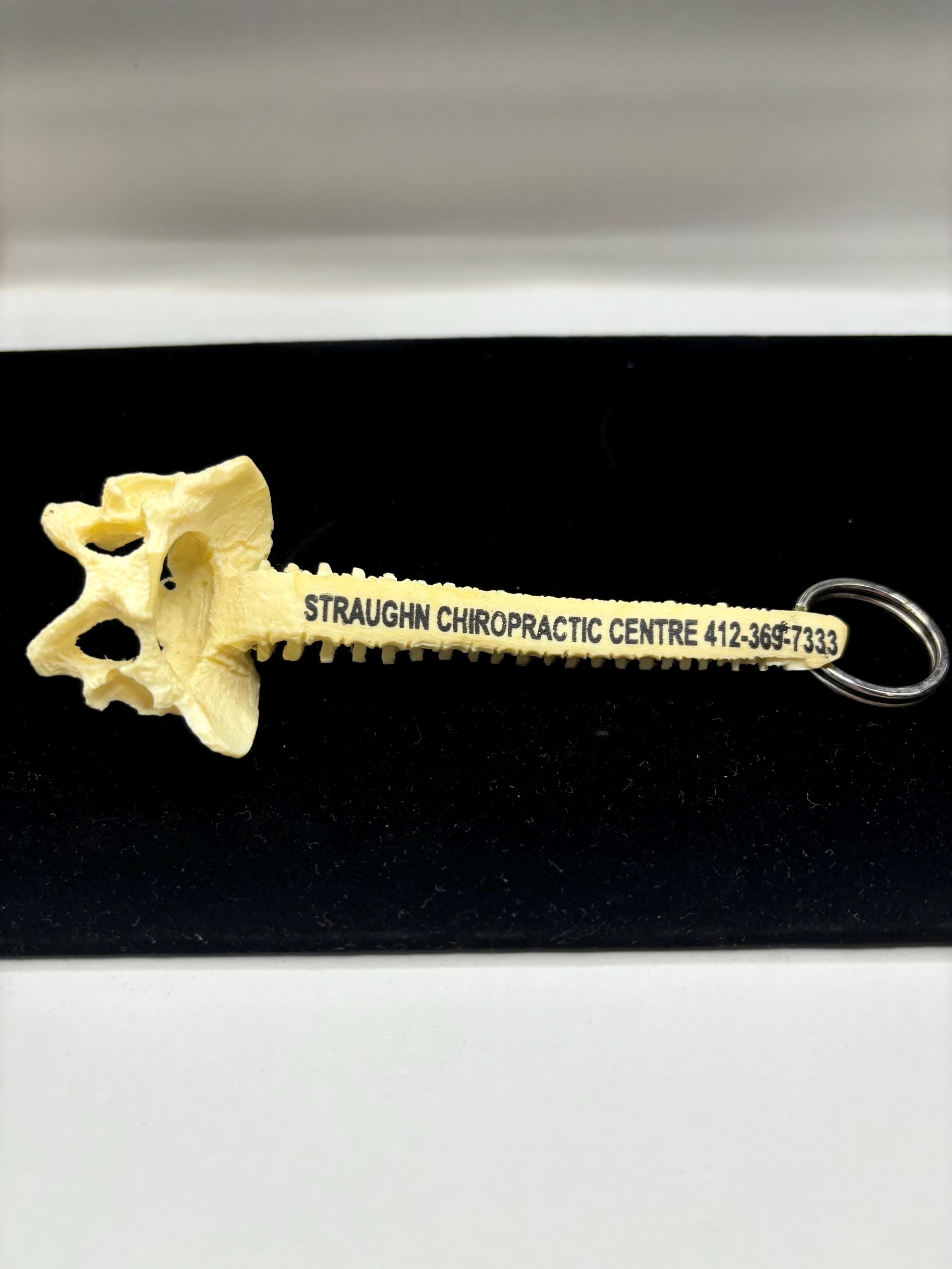 Vintage Chiropractic Spine Keychain – Unique Medical & Oddities Collectible - Image 1