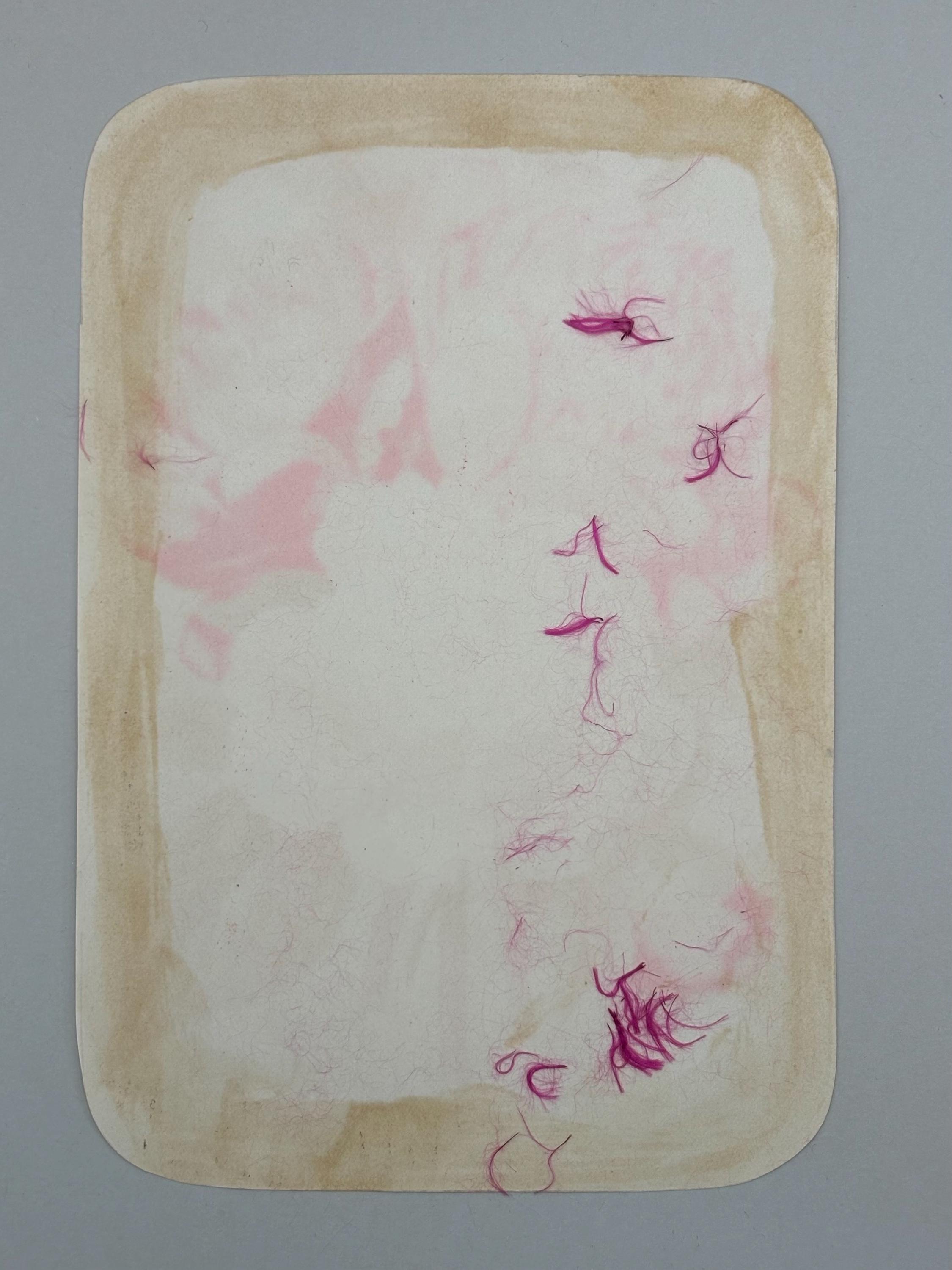 Victorian 1878 Chromolithograph Botanical Print "Peonies" from Vick's Illustrated Monthly Magazine Published in Rochester New York - Thumbnail 2