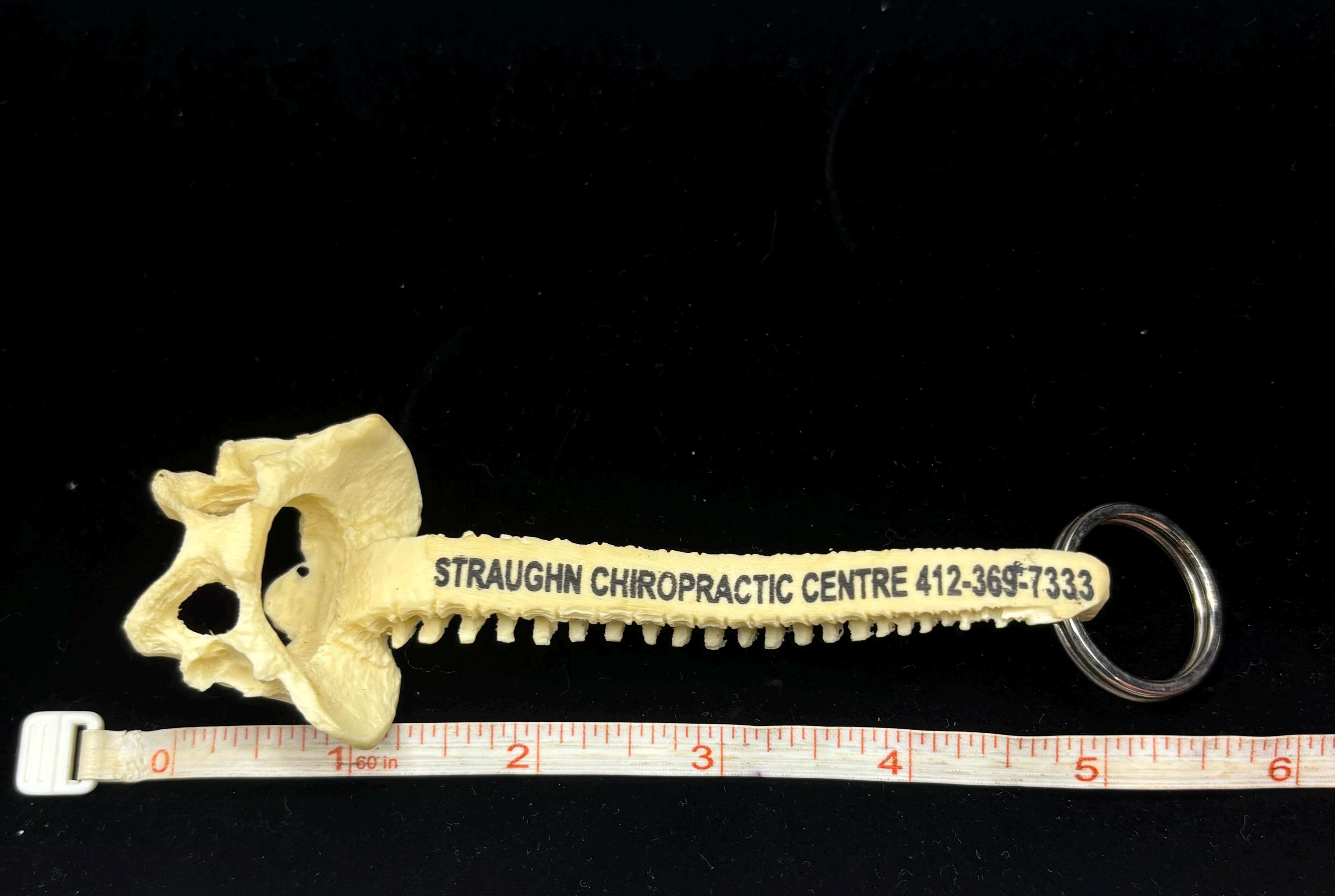 Vintage Chiropractic Spine Keychain – Unique Medical & Oddities Collectible - Thumbnail 4