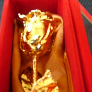 Cadeau romantique pour la Saint-Valentin - Véritable rose naturelle de 15 cm trempée dans de l'or 24 carats dans une boîte en velours rouge fabriquée à la main avec du satin doré avec fenêtre NOUVEAU