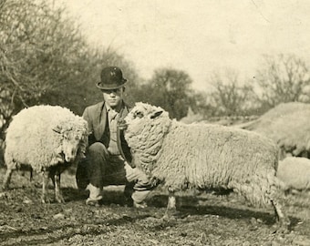 Proudly SHOWING His PRIZE SHEEP on the Farm in 1920s Original Photo Postcard