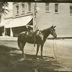 CAVALO parado sozinho no meio de uma rua de terra em Dufur Oregon - Cartão postal fotográfico de 1910 RPPC